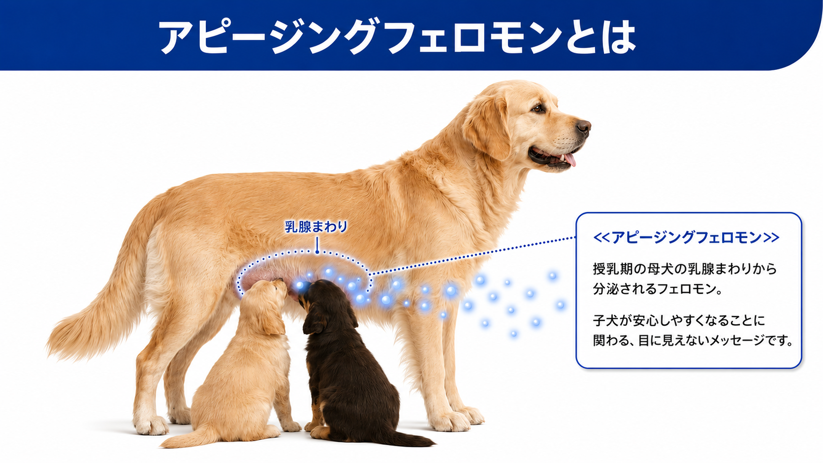 アピージングフェロモンの説明図