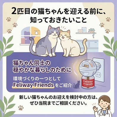 フレンズ 飼い主さま啓発用LINEコンテンツ