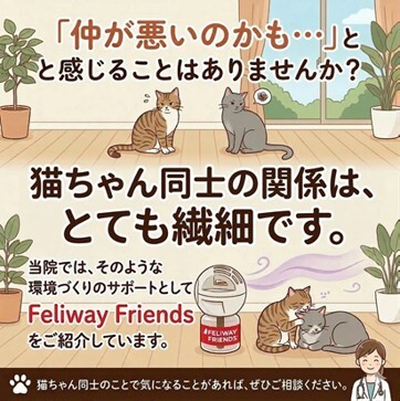 フレンズ 飼い主さま啓発用LINEコンテンツ