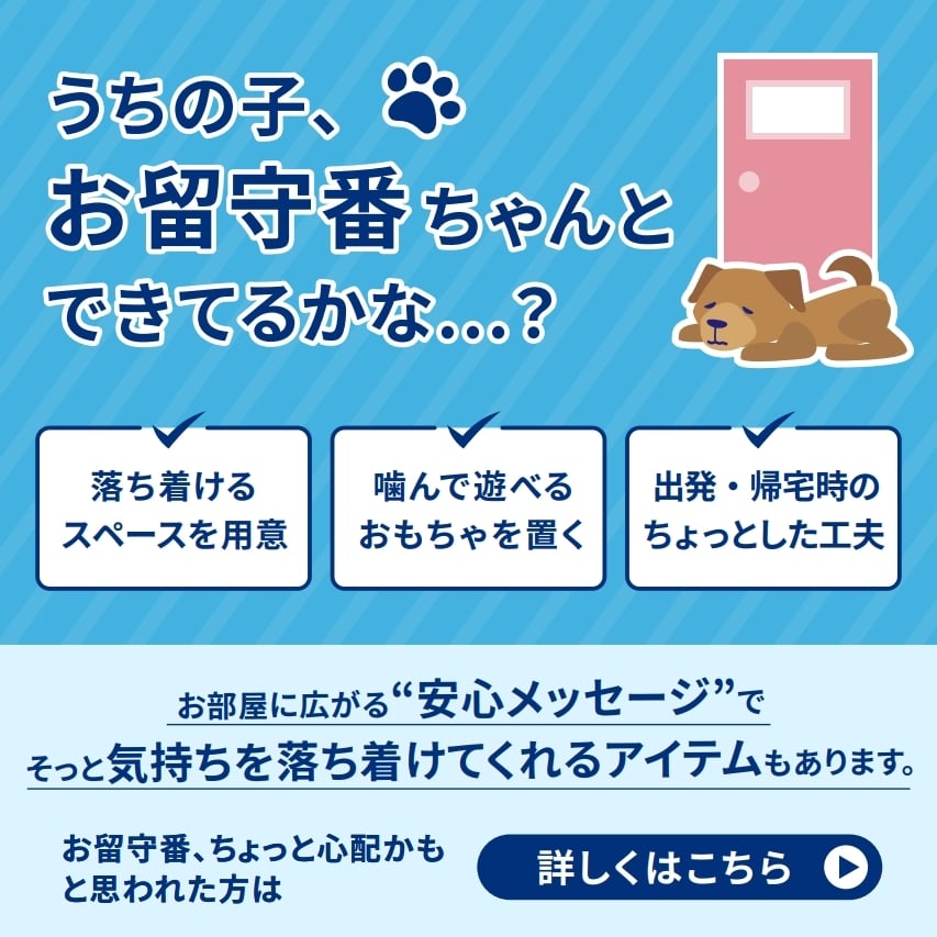 アダプティル 飼い主さま啓発用LINEコンテンツ