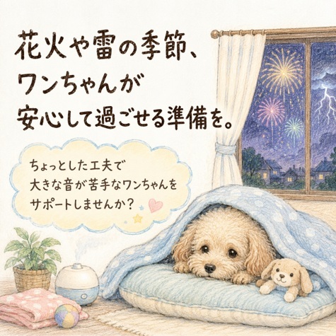 【LINEコンテンツ】花火や雷の季節、安心して過ごせる準備を_アダプティル