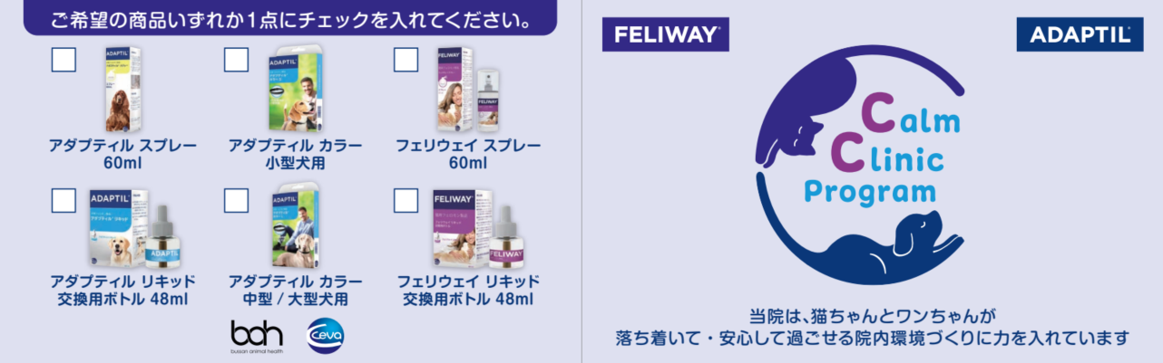 ポイントカード 表